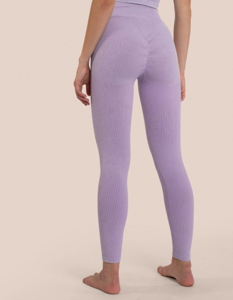 Purple Women's Oceans Apart Harley Pant Leggings | USA FFY-5701